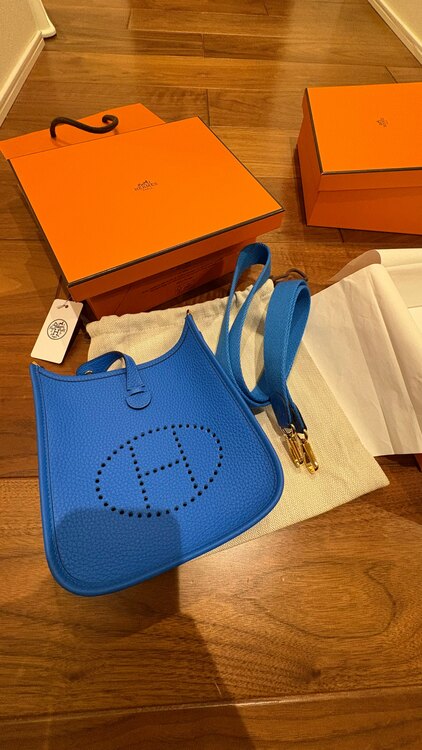 ミニエブリン（ブランドバッグ）の商品画像 - 査定依頼日：2025年4月30日 - 最高査定価格：320,000円