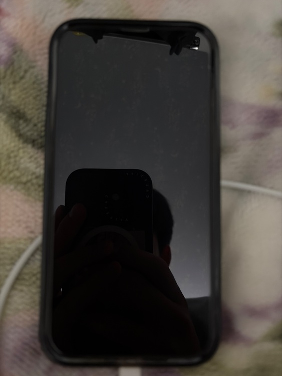 iPhone 13 256GB docomo（スマホ）の商品画像 - 査定依頼日：2025年11月20日 - 最高査定価格：48,000円