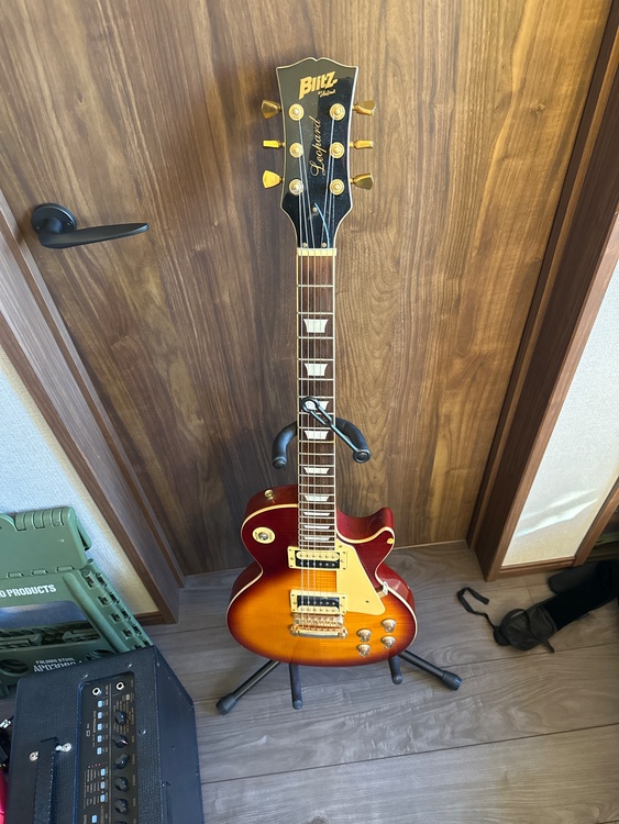 Blitz Leopard（ピアノ・楽器・PA機材）の商品画像 - 査定依頼日：2026年1月9日 - 最高査定価格：8,000円