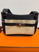 ジプシエールミニ（ブランドバッグ）の商品画像 - 査定依頼日：2026年1月24日 - 最高査定価格：850,000円