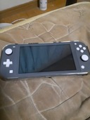 Switchライトのグレー