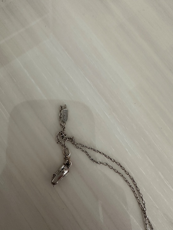 グッチ / GUCCI アイコン（金・貴金属）の商品画像 - 査定依頼日：2026年4月28日 - 最高査定価格：100,000円