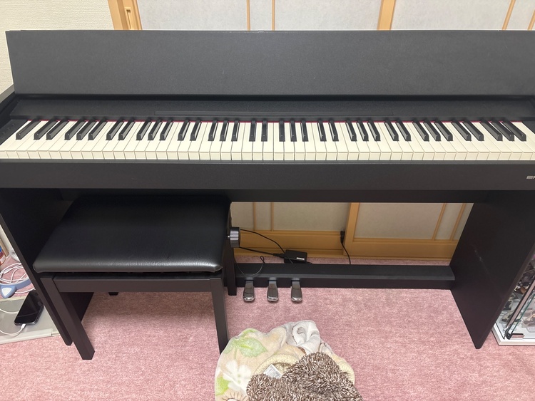 F107-BKX（ピアノ・楽器・PA機材）の商品画像 - 査定依頼日：2026年4月25日 - 最高査定価格：12,000円