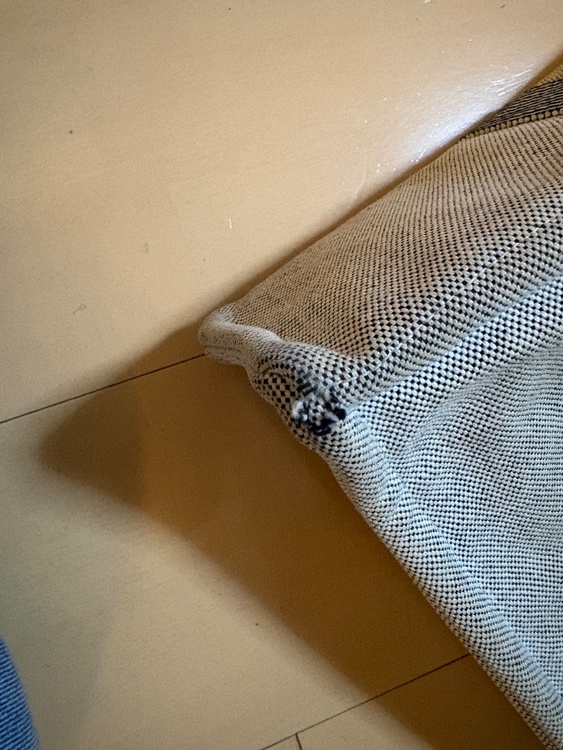 フールトゥトートMM（ブランドバッグ）の商品画像 - 査定依頼日：2025年12月23日 - 最高査定価格：20,000円