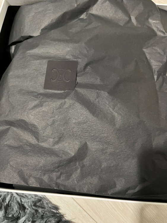 セリーヌ  （ブランドバッグ）の商品画像 - 査定依頼日：2026年3月10日 - 最高査定価格：100,000円