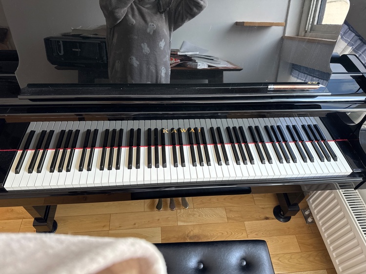 US-7X（ピアノ・楽器・PA機材）の商品画像 - 査定依頼日：2026年1月4日 - 最高査定価格：100,000円