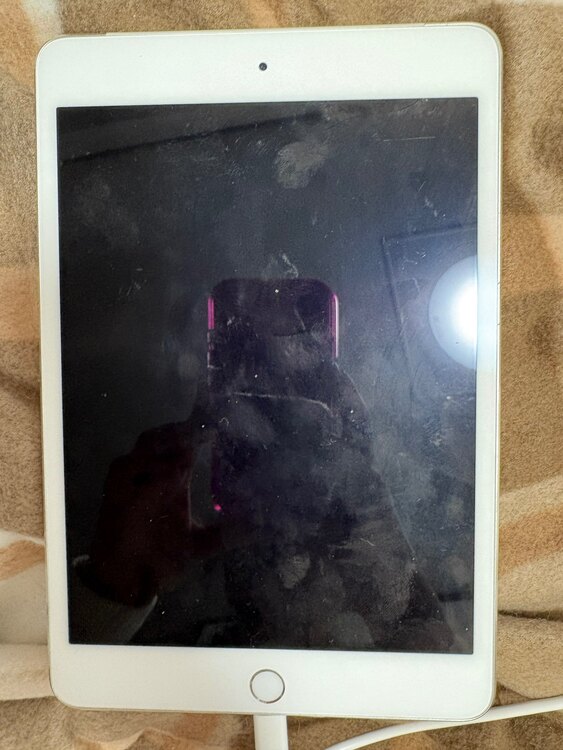 iPadmini4（PC・タブレット）の商品画像 - 査定依頼日：2025年4月14日 - 最高査定価格：4,000円