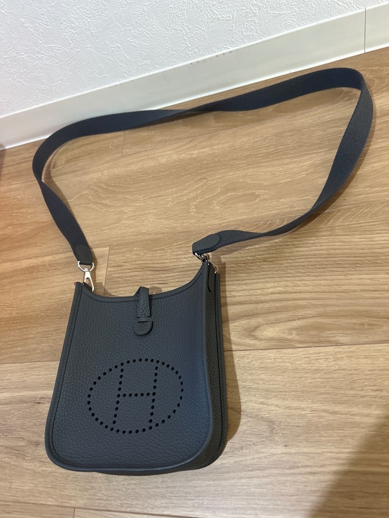 エヴリンミニ（ブランドバッグ）の商品画像 - 査定依頼日：2025年12月5日 - 最高査定価格：310,000円