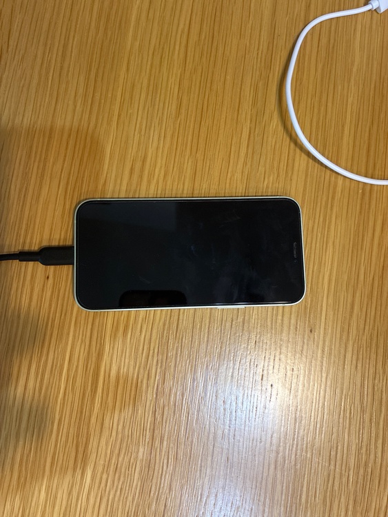 iPhone iPhone 12 mini 64GB Softbank（スマホ）の商品画像 - 査定依頼日：2026年9月21日 - 最高査定価格：19,000円