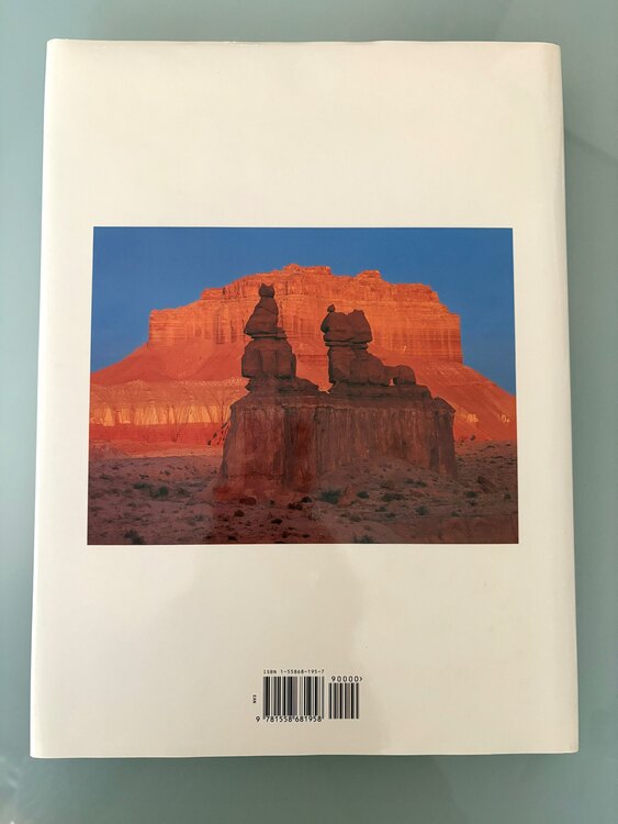 AMERICA（古本）の商品画像 - 査定依頼日：2025年4月16日 - 最高査定価格：1,000円