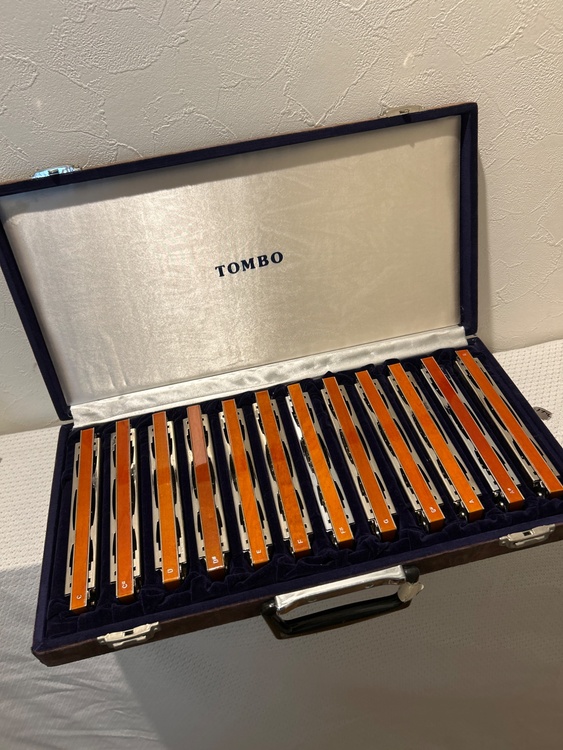 ハーモニカ　トンボ　プロフェッショナル22 12本　あとマイナーも12本（ピアノ・楽器・PA機材）の商品画像 - 査定依頼日：2026年4月23日 - 最高査定価格：22,000円