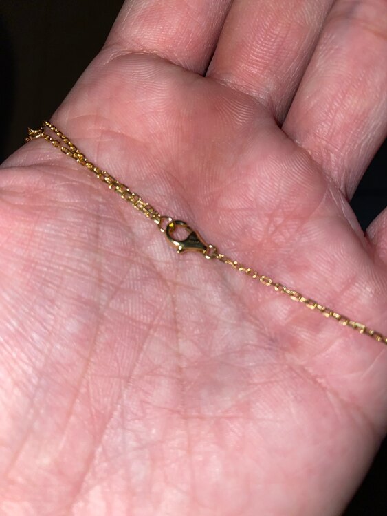 カルティエダムールネックレスイエローゴールドスモールサイズ（金・貴金属）の商品画像 - 査定依頼日：2024年3月3日 - 最高査定価格：65,000円