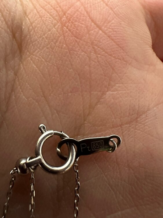 LKサロン　月ミニネックレス（宝石）の商品画像 - 査定依頼日：2024年2月3日 - 最高査定価格：25,000円