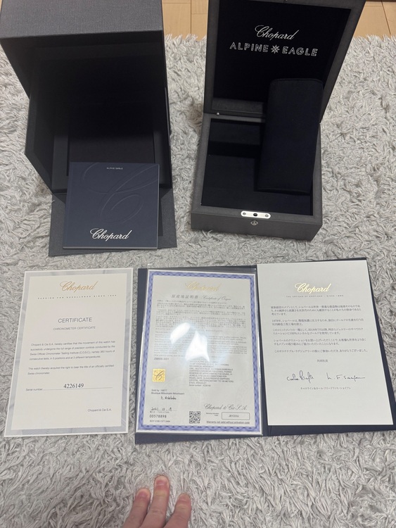 アルパインイーグル（高級時計）の商品画像 - 査定依頼日：2025年11月30日 - 最高査定価格：1,300,000円