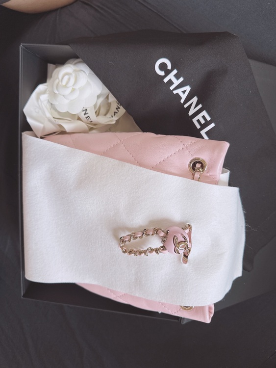 リュック（ブランドバッグ）の商品画像 - 査定依頼日：2025年9月21日 - 最高査定価格：420,000円