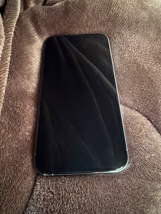 13プロ　256 SIMフリー（スマホ）の商品画像 - 査定依頼日：2026年2月27日 - 最高査定価格：49,000円