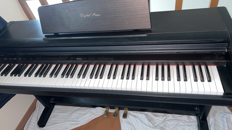 PW800（ピアノ・楽器・PA機材）の商品画像 - 査定依頼日：2025年12月29日 - 最高査定価格：3,000円