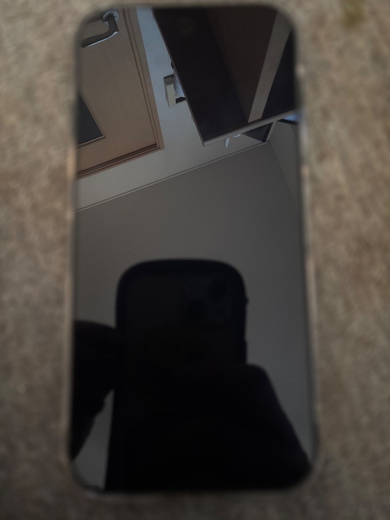 Pixel 9シリーズ docomo （スマホ）の商品画像 - 査定依頼日：2026年3月24日 - 最高査定価格：50,000円