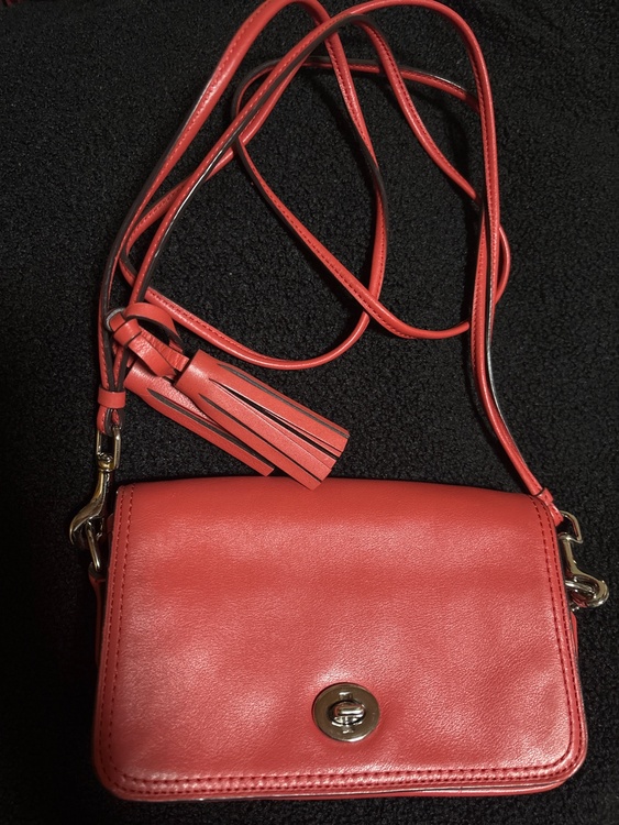 その他 コーチ （ブランドバッグ）の商品画像 - 査定依頼日：2025年12月29日 - 最高査定価格：2,000円