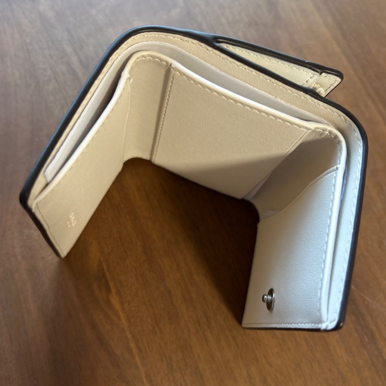 その他 コーチ （ブランドバッグ）の商品画像 - 査定依頼日：2025年7月23日 - 最高査定価格：1,000円