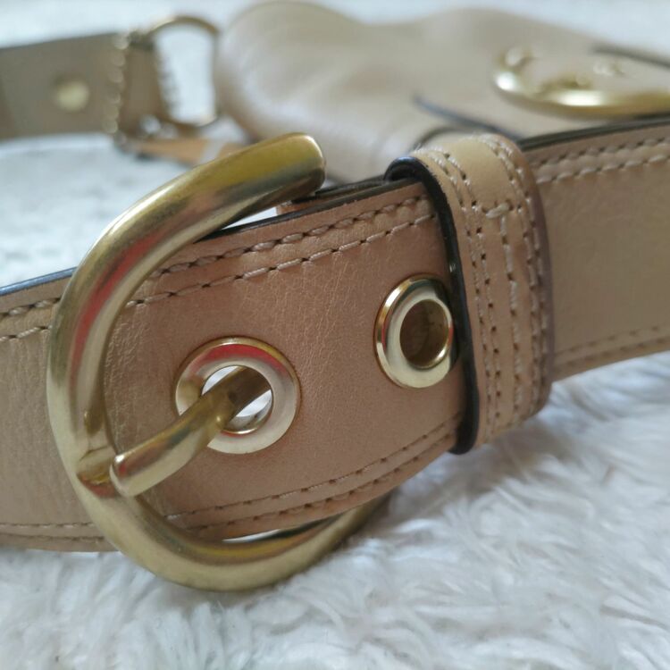 ショルダーバック（ブランドバッグ）の商品画像 - 査定依頼日：2025年6月22日 - 最高査定価格：3,000円