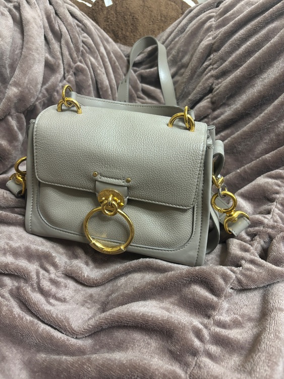 その他 クロエ （ブランドバッグ）の商品画像 - 査定依頼日：2025年11月26日 - 最高査定価格：70,000円