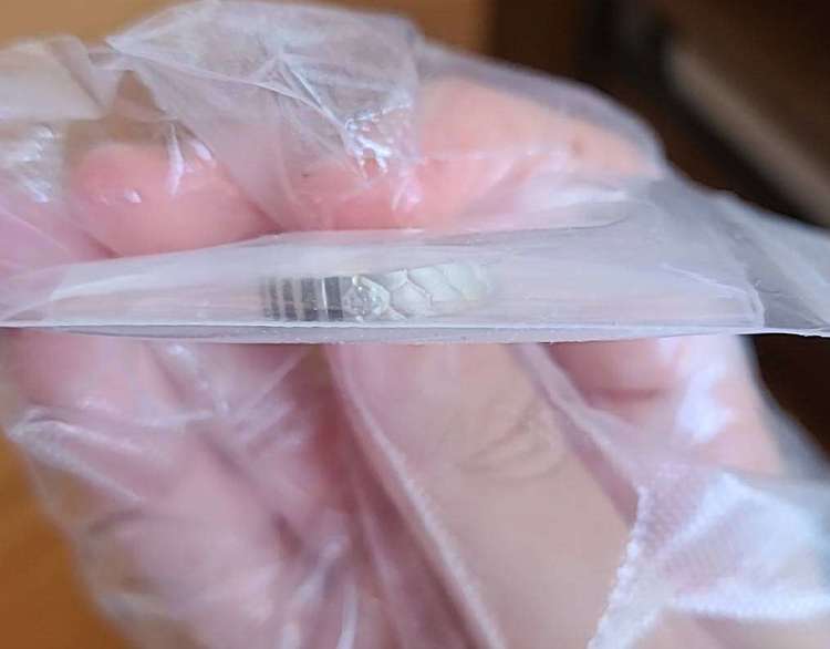 鬼滅の刃 ツイステッドワンダーランド シルバーリング（宝石）の商品画像 - 査定依頼日：2023年2月8日 - 最高査定価格：2,000円