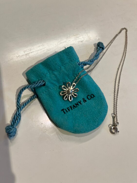 ティファニー　パロマピカソ　デイジー（金・貴金属）の商品画像 - 査定依頼日：2025年5月11日 - 最高査定価格：10,000円