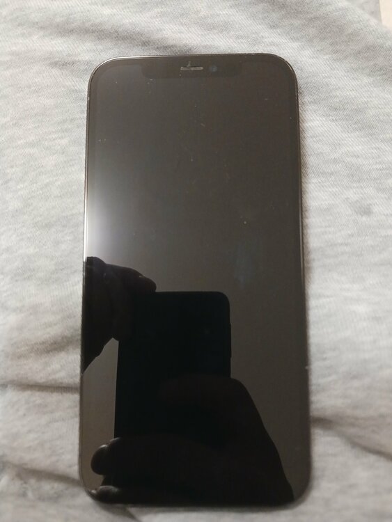 iPhone 12 Pro 128GB au（スマホ）の商品画像 - 査定依頼日：2026年3月26日 - 最高査定価格：32,000円