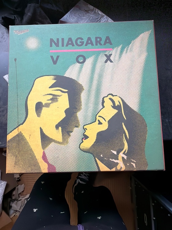 NAIAGARA VOX（レコード）の商品画像 - 査定依頼日：2026年4月9日 - 最高査定価格：1,000円