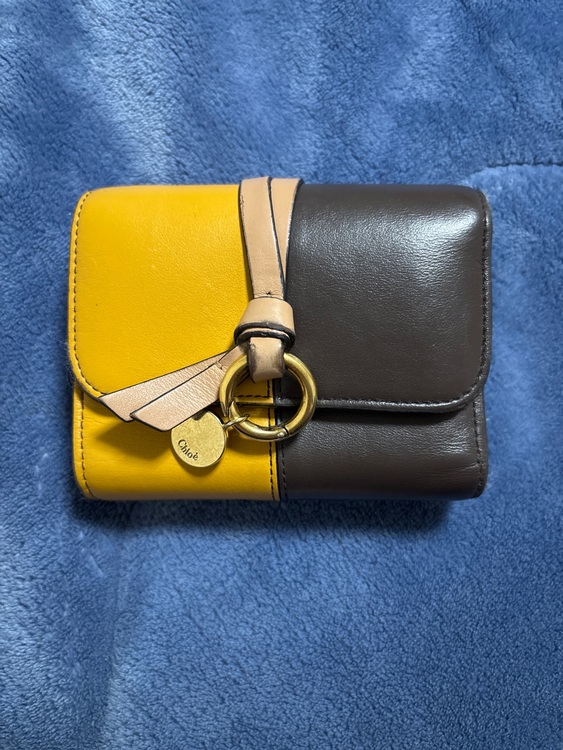 その他 クロエ （ブランドバッグ）の商品画像 - 査定依頼日：2025年6月15日 - 最高査定価格：15,000円