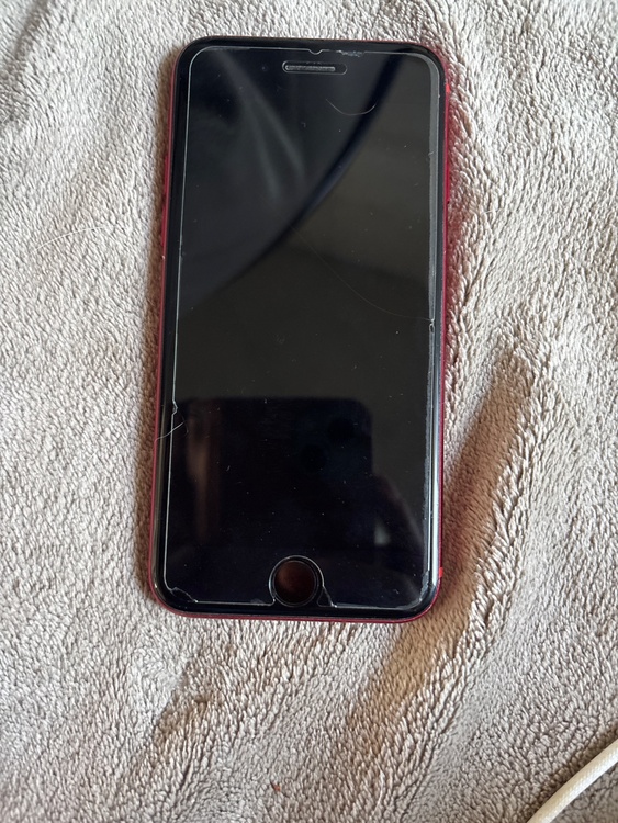 iPhone iPhone SE (第 2 世代) 64GB SIMフリー（スマホ）の商品画像 - 査定依頼日：2026年7月25日 - 最高査定価格：11,000円