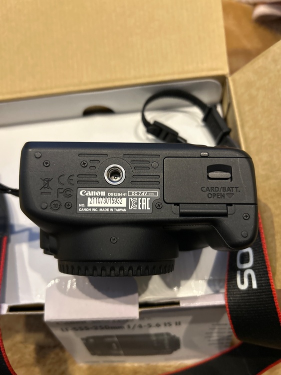 EOS kiss X7 ダブルズームキット（カメラ）の商品画像 - 査定依頼日：2026年1月13日 - 最高査定価格：30,000円