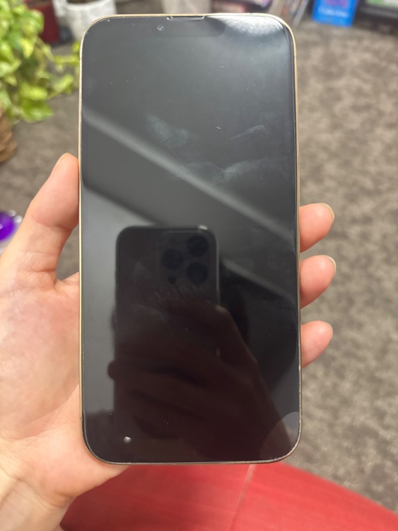 iPhone13 ProMAX（スマホ）の商品画像 - 査定依頼日：2025年9月5日 - 最高査定価格：76,000円