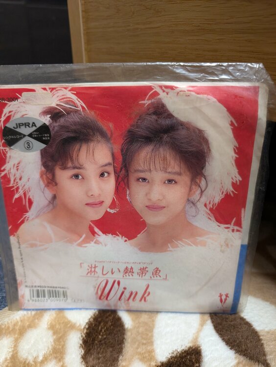 ウィンク淋しい熱帯魚（レコード）の商品画像 - 査定依頼日：2026年3月21日 - 最高査定価格：3,000円