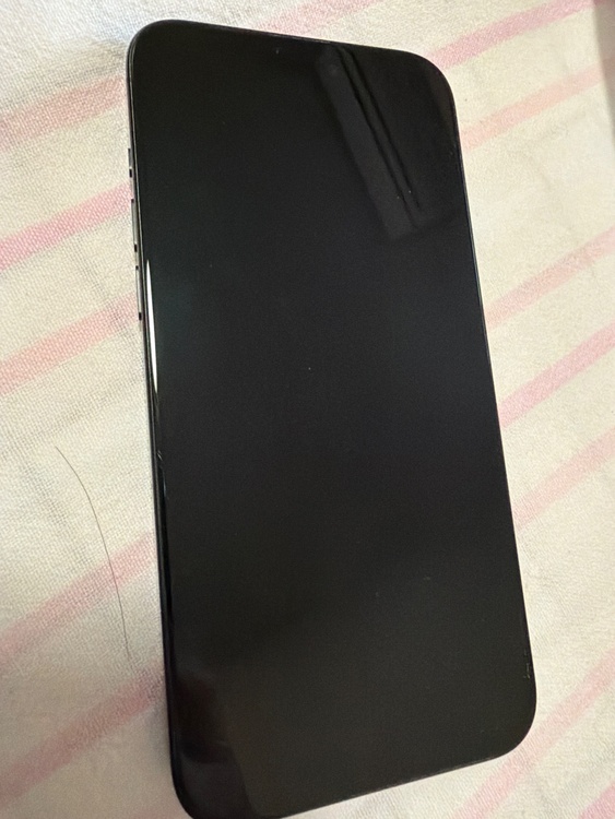 iPhone iPhone 15 Pro Max 256GB SIMフリー（スマホ）の商品画像 - 査定依頼日：2026年9月17日 - 最高査定価格：99,000円