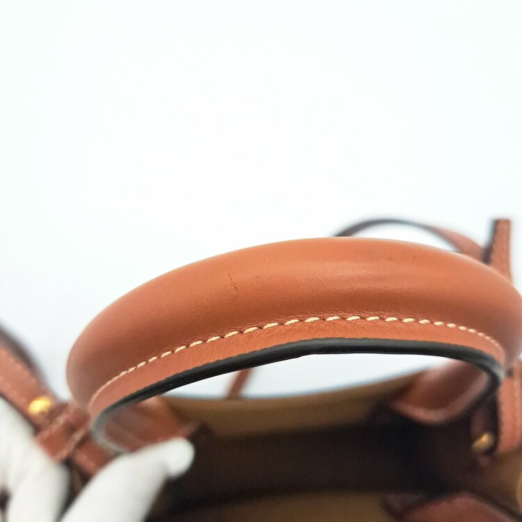 ミニバーティカルカバ（ブランドバッグ）の商品画像 - 査定依頼日：2026年4月10日 - 最高査定価格：100,000円