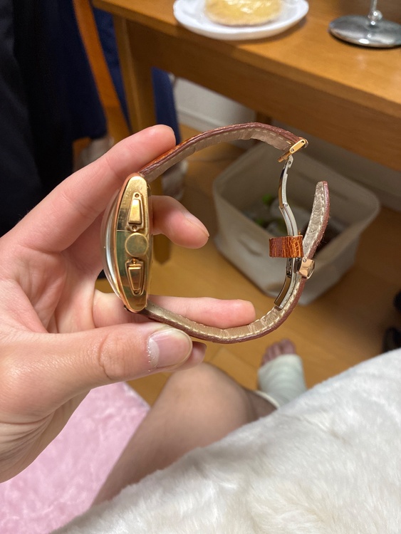 その他 その他 PANDRAMa（高級時計）の商品画像 - 査定依頼日：2026年3月21日 - 最高査定価格：1,000,000円