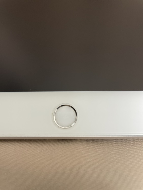 iPad mini 5 Silver 64GB cellularモデル（PC・タブレット）の商品画像 - 査定依頼日：2021年11月2日 - 最高査定価格：26,500円