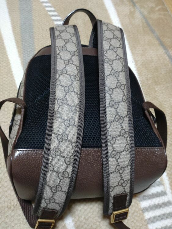 〔オフィディア〕 GG スモールバックパック（ブランドバッグ）の商品画像 - 査定依頼日：2025年11月14日 - 最高査定価格：100,000円