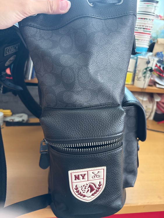 その他 コーチ （ブランドバッグ）の商品画像 - 査定依頼日：2025年9月29日 - 最高査定価格：10,000円