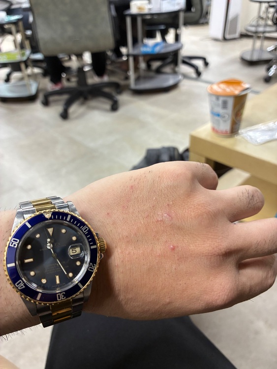 ロレックス サブマリーナー 1680（高級時計）の商品画像 - 査定依頼日：2025年9月5日 - 最高査定価格：1,700,000円