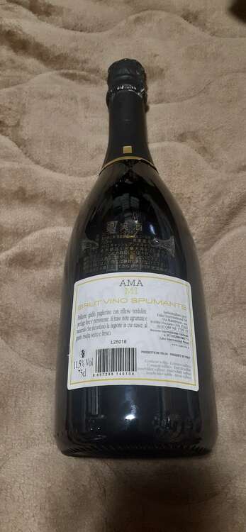 シャンパン シャンパン(その他) （お酒）の商品画像 - 査定依頼日：2025年5月8日 - 最高査定価格：500円