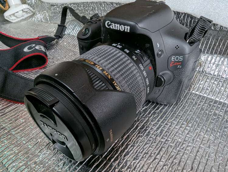 CANONイオスキス✖5（カメラ）の商品画像 - 査定依頼日：2025年3月17日 - 最高査定価格：27,000円