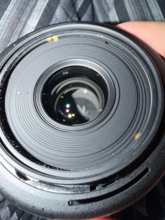 AF-S Micro 60mm F2.8G（カメラ）の商品画像 - 査定依頼日：2026年6月20日 - 最高査定価格：31,100円