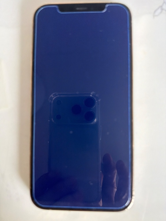 iPhone iPhone 12 Pro 256GB SIMフリー（スマホ）の商品画像 - 査定依頼日：2026年7月6日 - 最高査定価格：34,500円