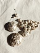 シルバー（金・貴金属）の商品画像 - 査定依頼日：2025年11月30日 - 最高査定価格：3,000円