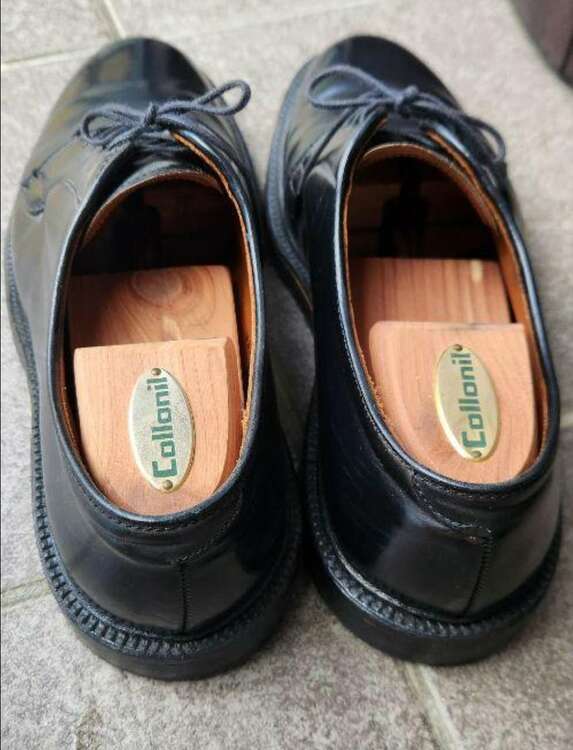 Alden　オールデン　BEAMS別注　9901　コードバン　プレーントゥ（古着・ファッション）の商品画像 - 査定依頼日：2025年3月21日 - 最高査定価格：20,000円