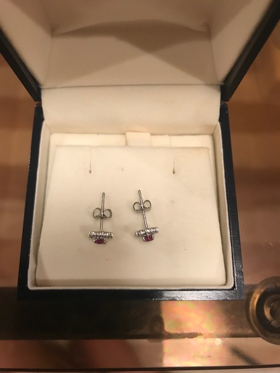 ピアス　Pt900（金・貴金属）の商品画像 - 査定依頼日：2023年11月9日 - 最高査定価格：50,000円