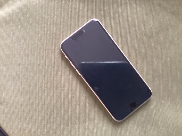 iPhone iPhone SE (第 2 世代) 64GB 楽天モバイル（スマホ）の商品画像 - 査定依頼日：2026年7月21日 - 最高査定価格：11,000円